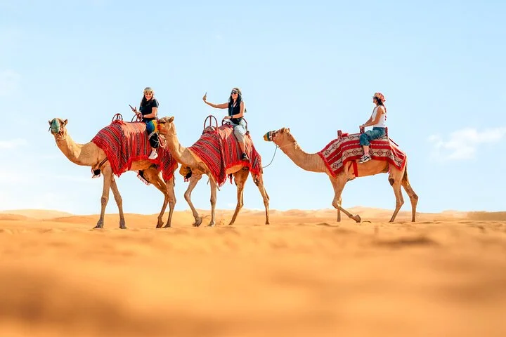 Dubai Half Day Desert Safari ATV or Buggy Ride & Sandboarding