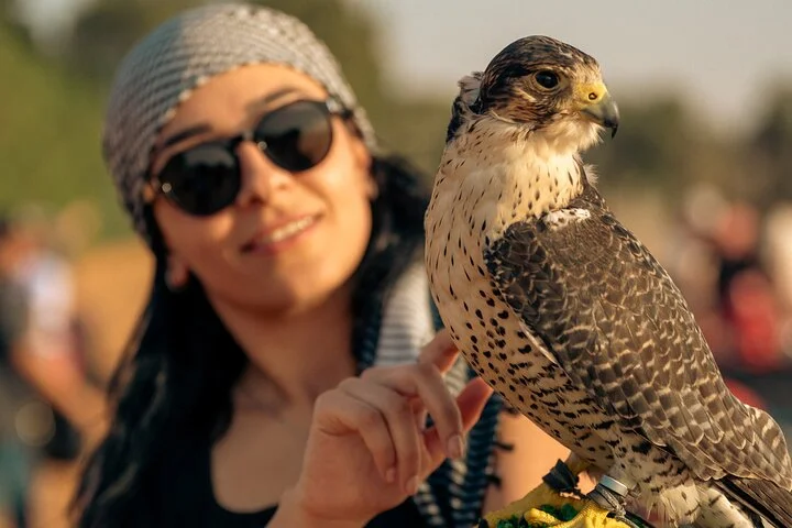 Dubai Half Day Desert Safari ATV or Buggy Ride & Sandboarding