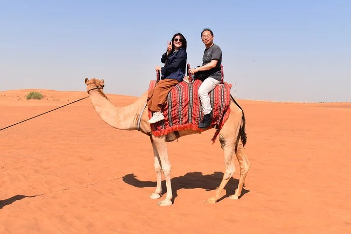 Dubai: Half-Day Desert Safari ,Camels & Sunset