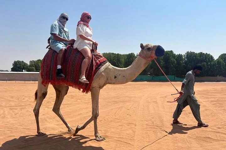 Dubai: Half-Day Desert Safari ,Camels & Sunset