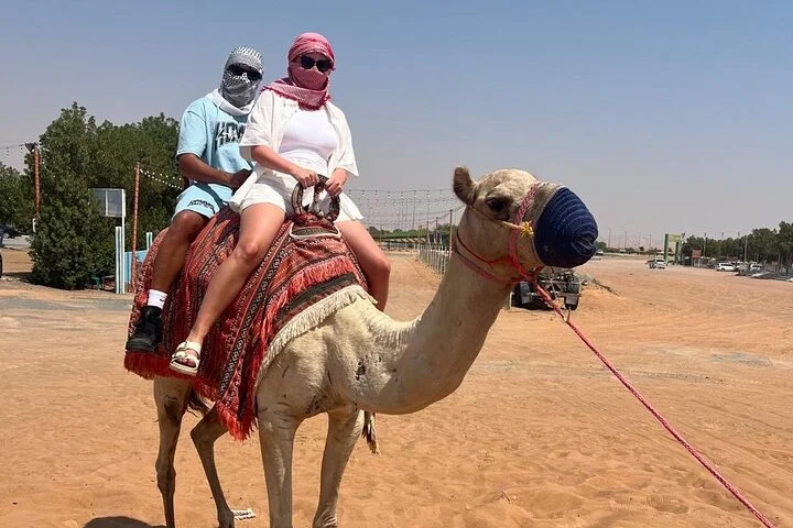 Dubai: Half-Day Desert Safari ,Camels & Sunset