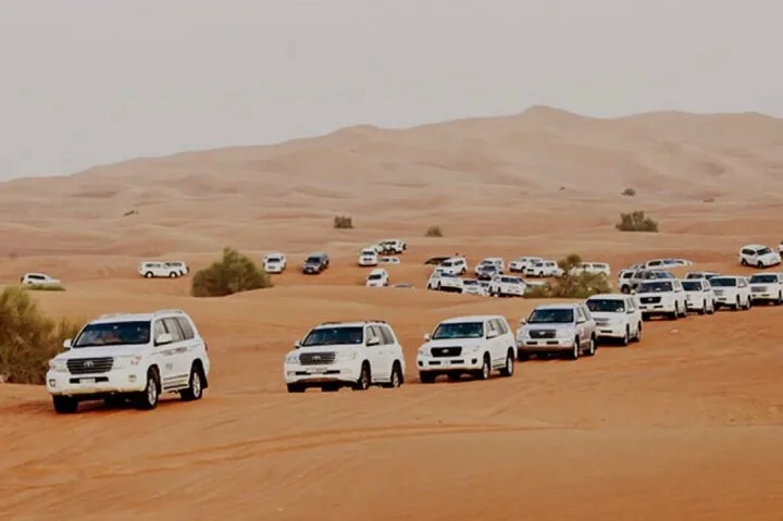 Dubai: Half-Day Desert Safari ,Camels & Sunset