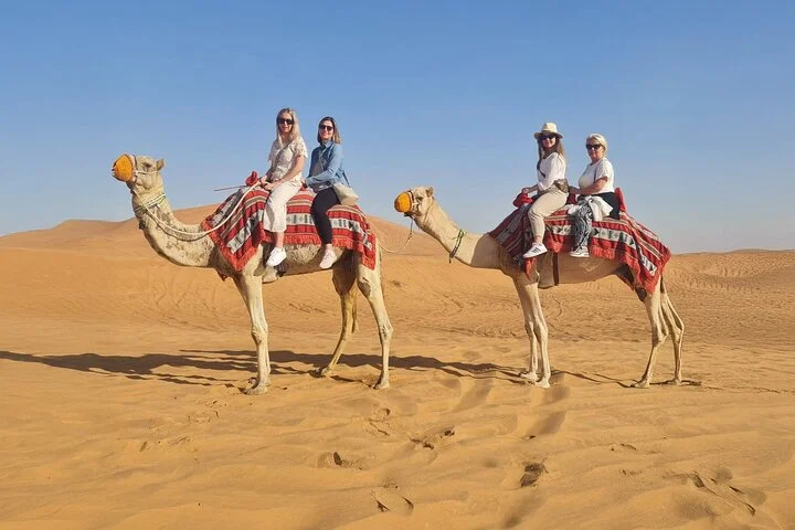 Dubai Half Day Red Dunes Desert Safari Experience Camel Ride