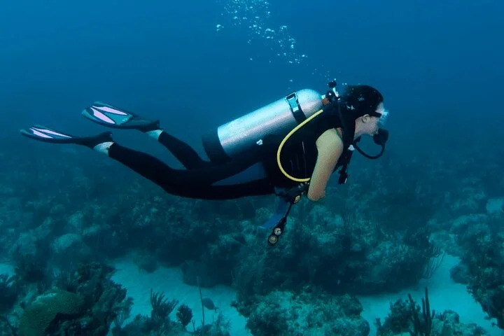 Dubai Jumeirah Scuba Dive Guided Underwater Adventure
