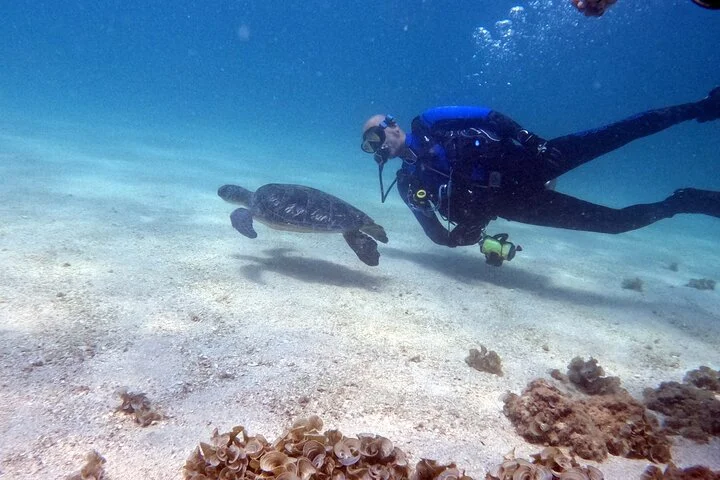 Dubai Jumeirah Scuba Dive Guided Underwater Adventure