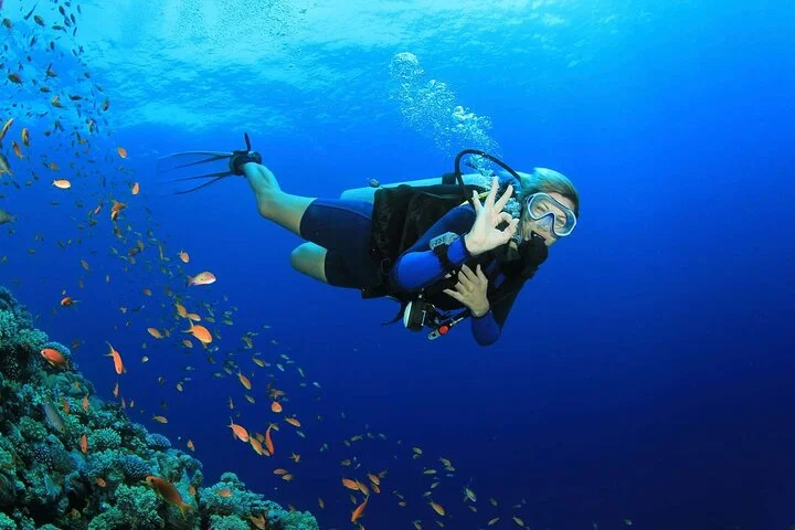 Dubai Jumeirah Scuba Dive Guided Underwater Adventure