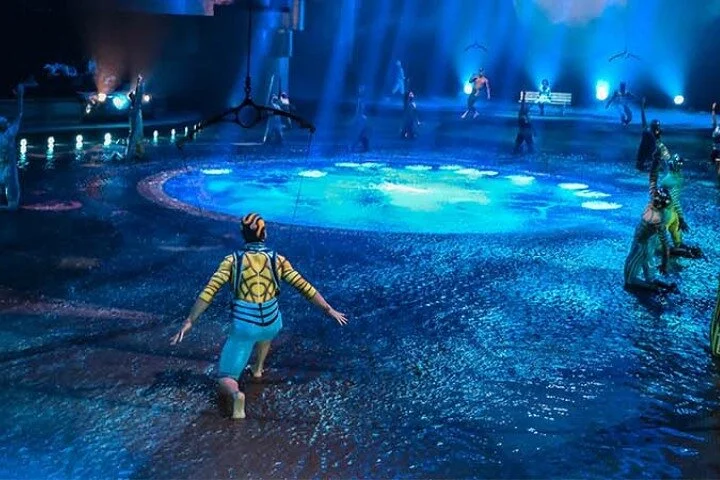 Dubai La Perle Dragone Show Admission Ticket