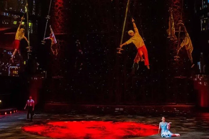 Dubai La Perle Dragone Show Admission Ticket