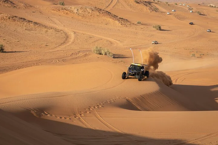 Dubai Long Self-Drive Quadbike with Camel and Falcon