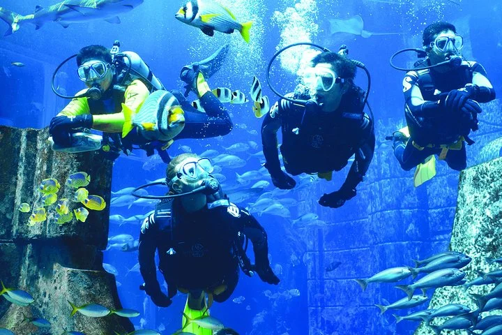 Dubai Lost Chambers Dive Discovery