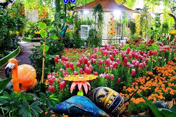 Dubai Miracle Garden and Butterfly Garden with Optional Transport