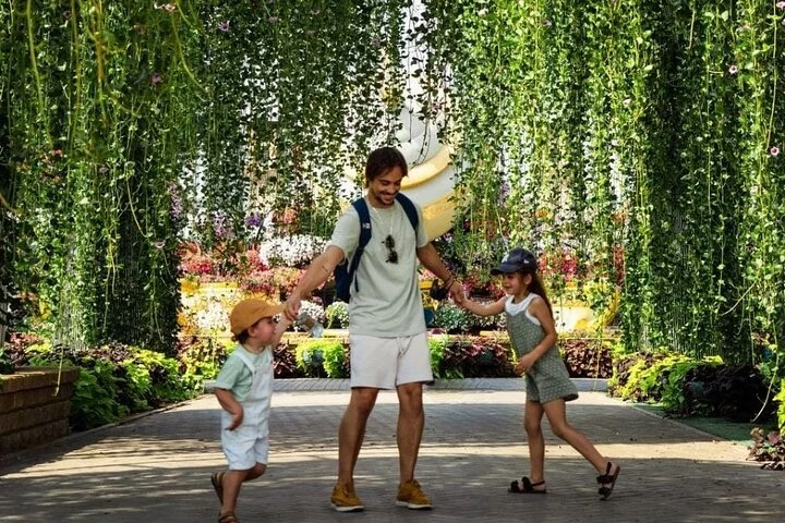 Dubai Miracle Garden and Butterfly Garden with Optional Transport