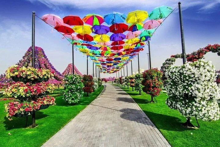 Dubai Miracle Garden and Butterfly Garden with Optional Transport