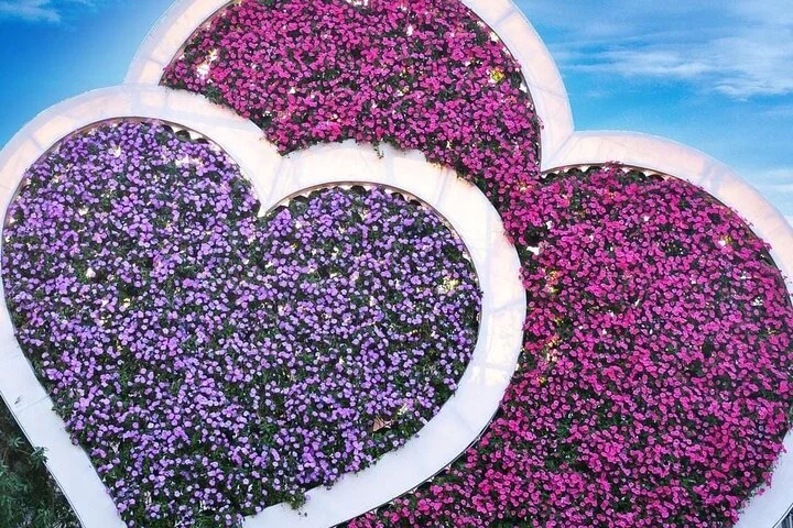 Dubai Miracle Garden and Butterfly Garden with Optional Transport