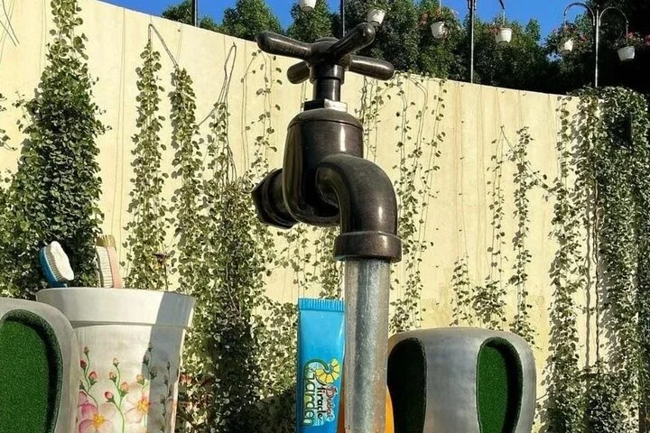 Dubai Miracle Garden and Butterfly Garden with Optional Transport