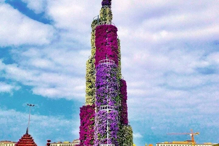Dubai Miracle Garden and Butterfly Garden with Optional Transport