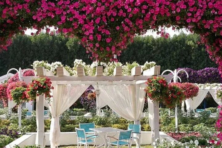 Dubai Miracle Garden and Butterfly Garden with Optional Transport