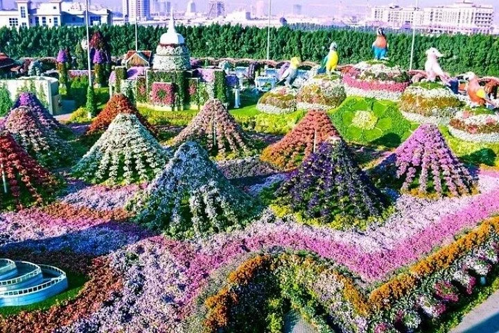 Dubai Miracle Garden and Global Village Tour