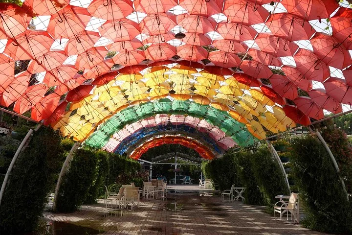 Dubai Miracle Garden Entry Tickets