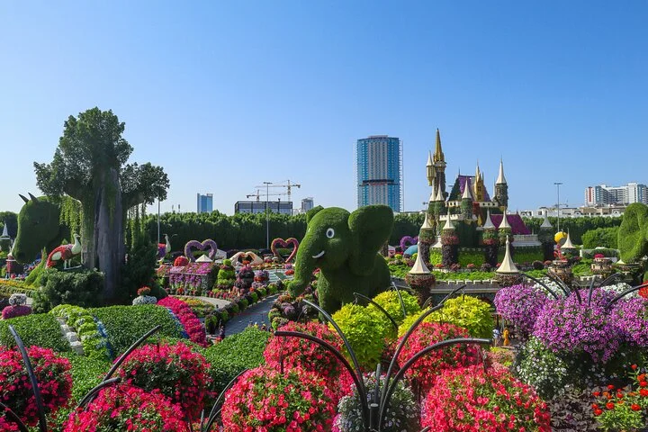 Dubai Miracle Garden Entry Tickets with Optional Hotel Transfers