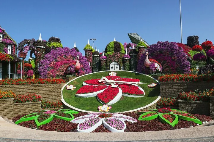 Dubai Miracle Garden Entry Tickets with Optional Hotel Transfers