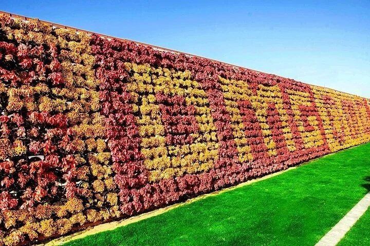 Dubai Miracle Garden Entry Tickets with Optional Transportation