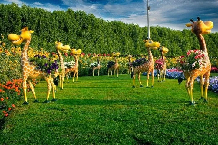 Dubai Miracle Garden Entry Tickets with Optional Transportation