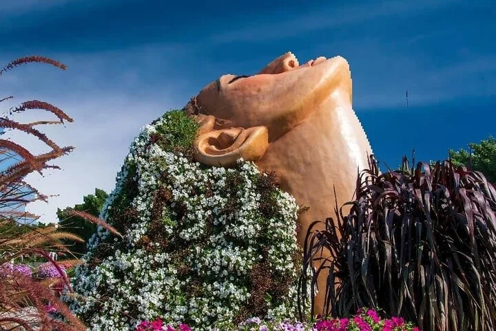 Dubai Miracle Garden Entry Tickets with Optional Transportation