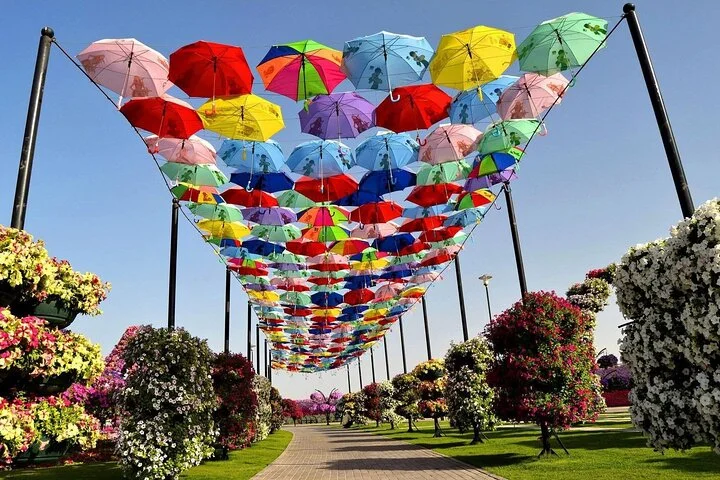 Dubai Miracle Garden Entry Tickets with Optional Transportation