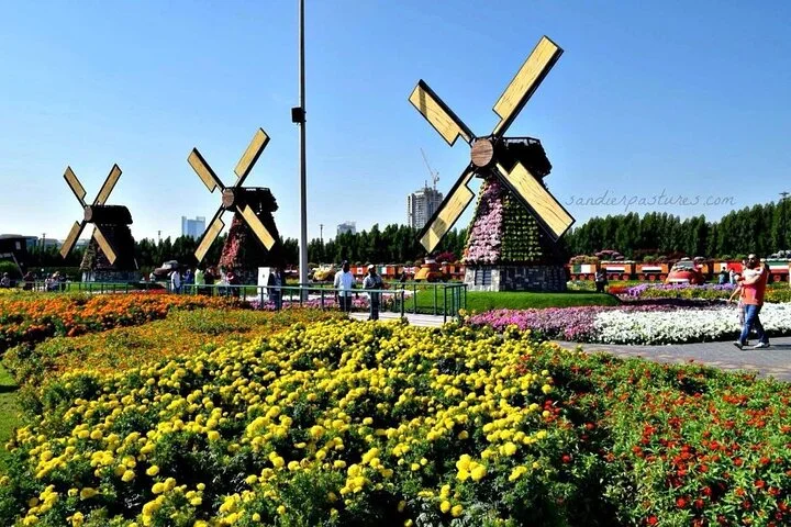 Dubai Miracle Garden Entry Tickets with Optional Transportation