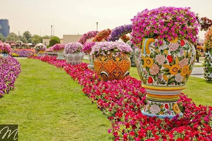 Dubai Miracle Garden Entry Tickets with Optional Transportation