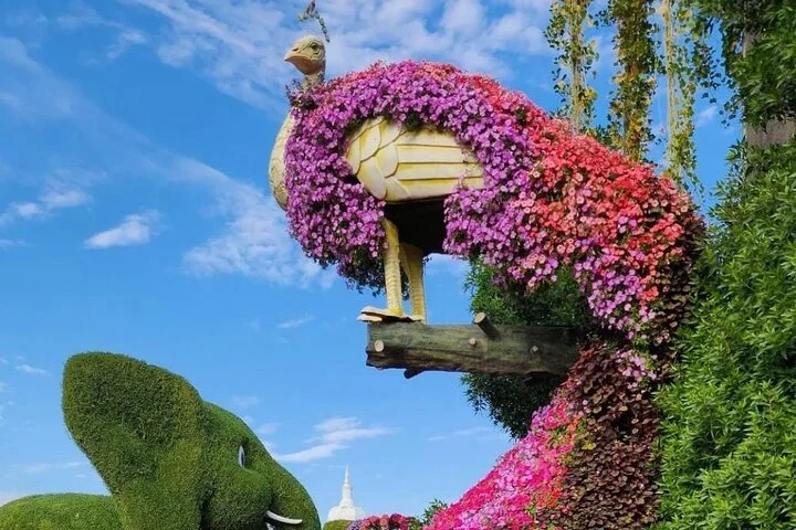 Dubai Miracle Garden Entry Tickets with Optional Transportation