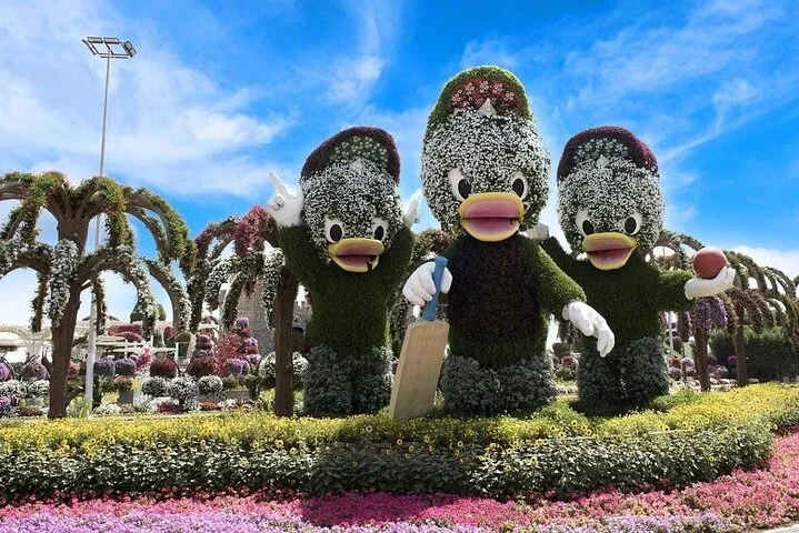 Dubai Miracle Garden Entry Tickets with Optional Transportation