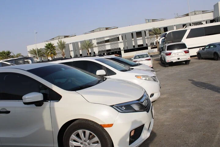 Dubai Miracle Garden & Global Village Entry Tickets with Transfer