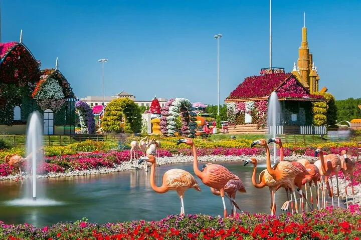 Dubai Miracle Garden Online Tickets