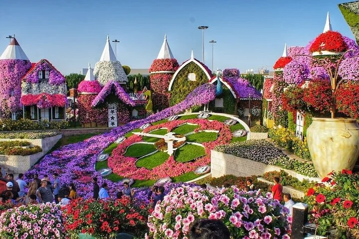 Dubai Miracle Garden Tickets with Round Trip Transfer