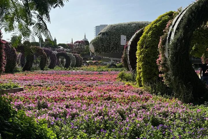Dubai Miracle Garden Tour with Return Transfer