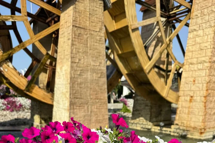 Dubai Miracle Garden Tour with Return Transfer