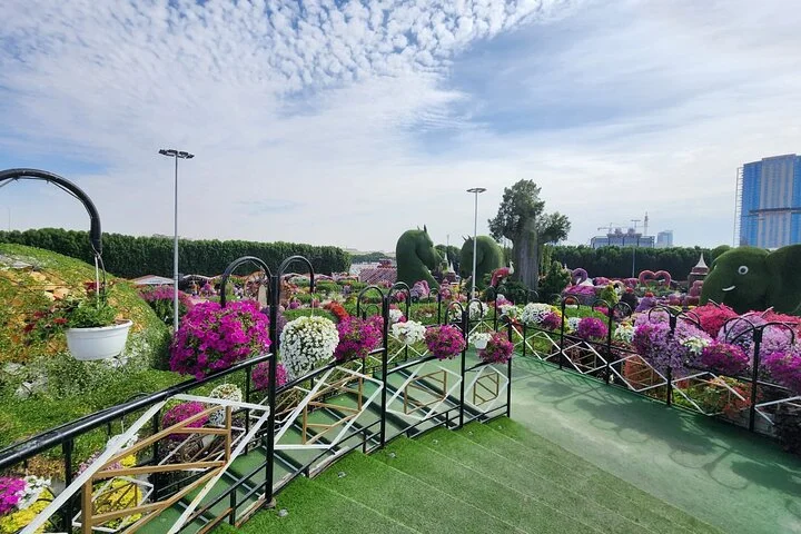 Dubai Miracle Garden with Private Transfers