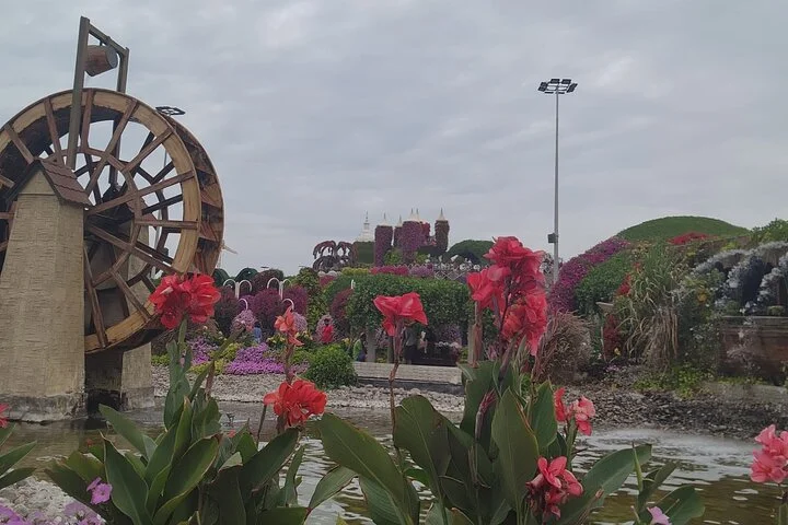 Dubai Miracle Garden with Private Transfers