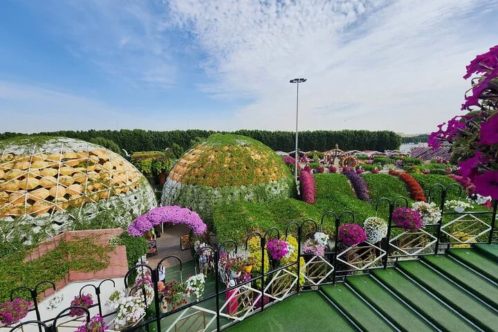 Dubai Miracle Garden with Private Transfers
