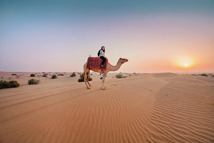 Dubai Morning Desert Safari: Camel Ride & Sandboarding!