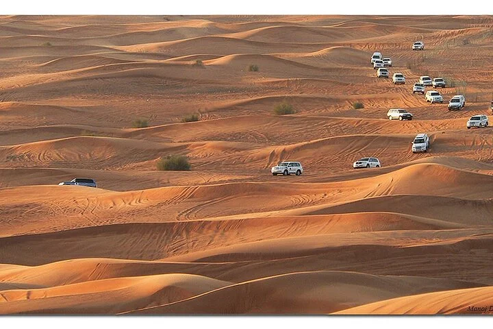 Dubai Morning Desert Safari: Camel Ride & Sandboarding!