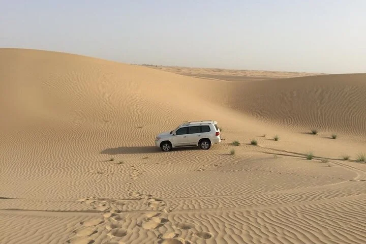 Dubai: Morning Desert Safari with 30 minutes Buggy