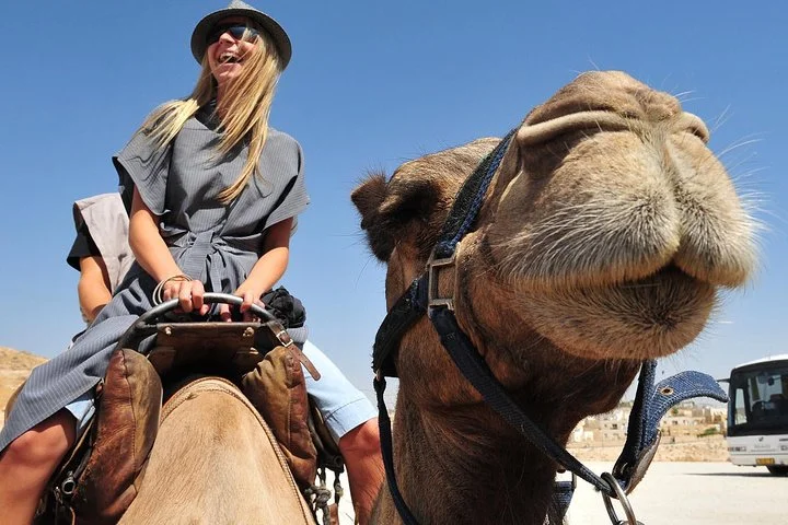 Dubai Morning Red Dunes with Camel Safari & Sandsurf