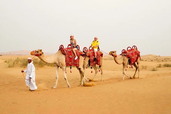 Dubai Morning Safari Adventure, Dune Bashing and Camel Experience