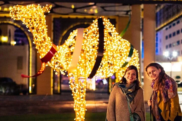 Dubai Night City Tour with Lights PhotoStop and Flexible Duration