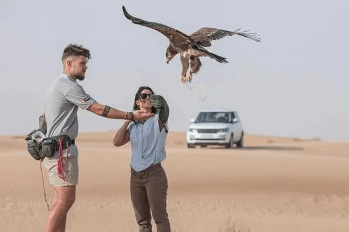 Dubai Premium Evening Desert Safari ATVs, Dinner & Shows