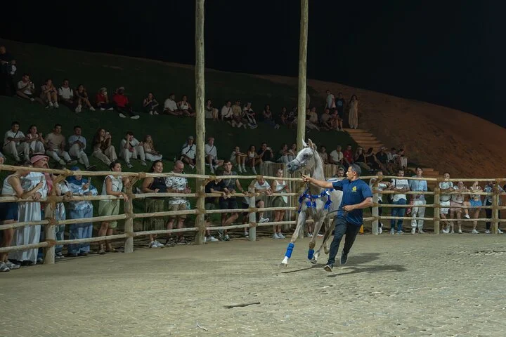 Dubai Premium Red Dunes Safari, Camels & 5* BBQ at Al Khayma Camp