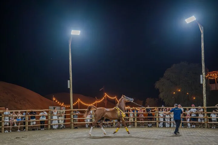 Dubai Premium Red Dunes Safari, Camels & 5* BBQ at Al Khayma Camp